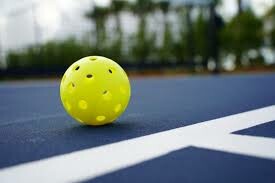 Request for Pickle Ball Committee Members